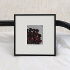 European Standard Frame