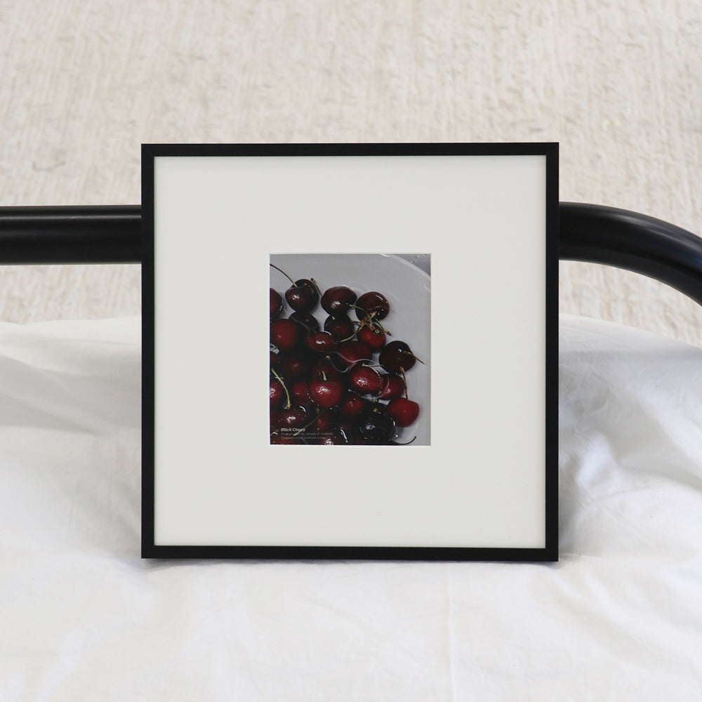 European Standard Frame