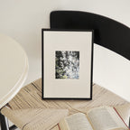 Vltava Standard Frame