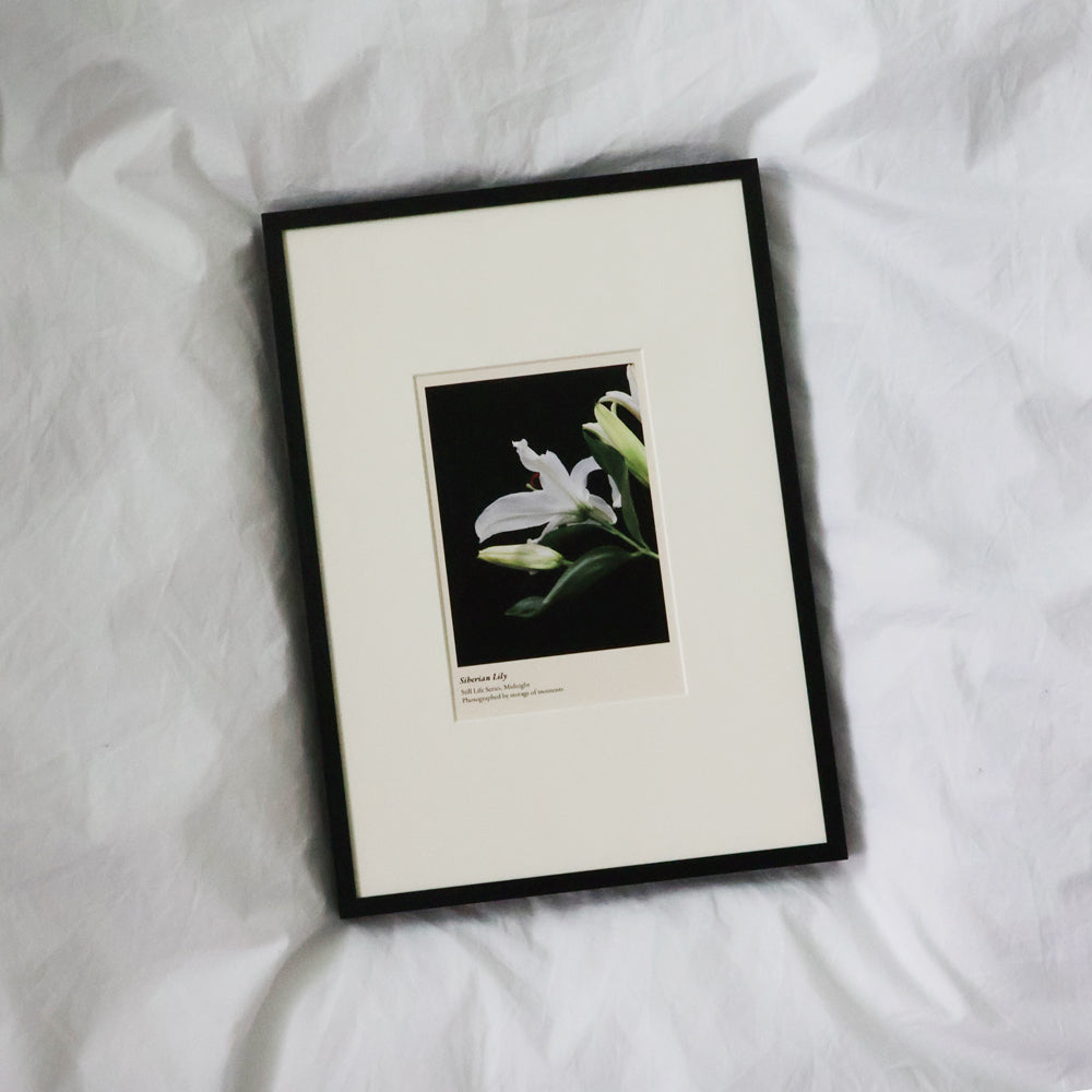 Midnight Still-life Wide Frame