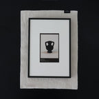 Ivory Still-life Wide Frame